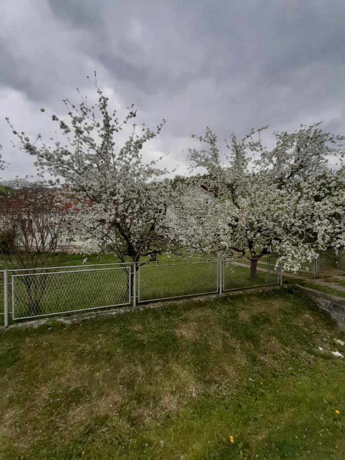 Apartman Djokovic Mokra Gora Exterior foto